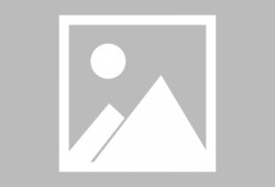 最新荣耀200 pro爆料,颠覆性性能与极致美学设计，引领手机市场新潮流